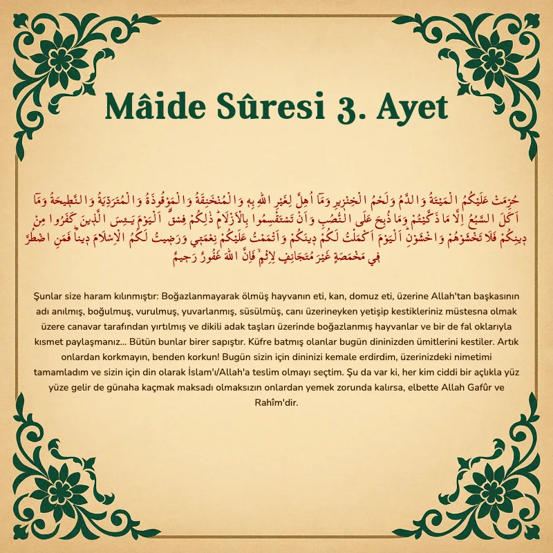 Mâide Sûresi 3. Ayet Arapça ve Türkçe meali