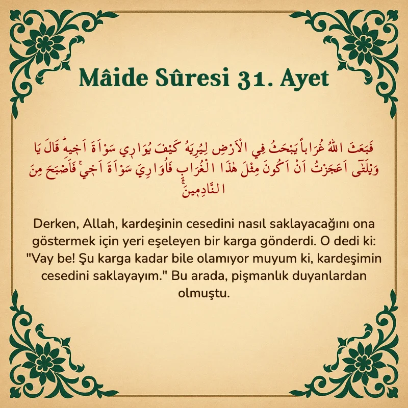Mâide Sûresi 31. Ayet Arapça ve Türkçe meali