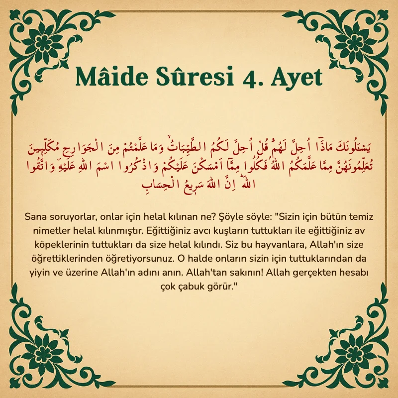 Mâide Sûresi 4. Ayet Arapça ve Türkçe meali