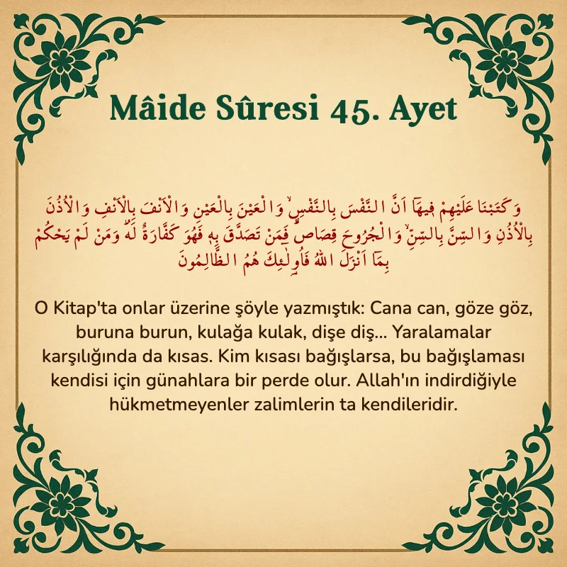 Mâide Sûresi 45. Ayet Arapça ve Türkçe meali