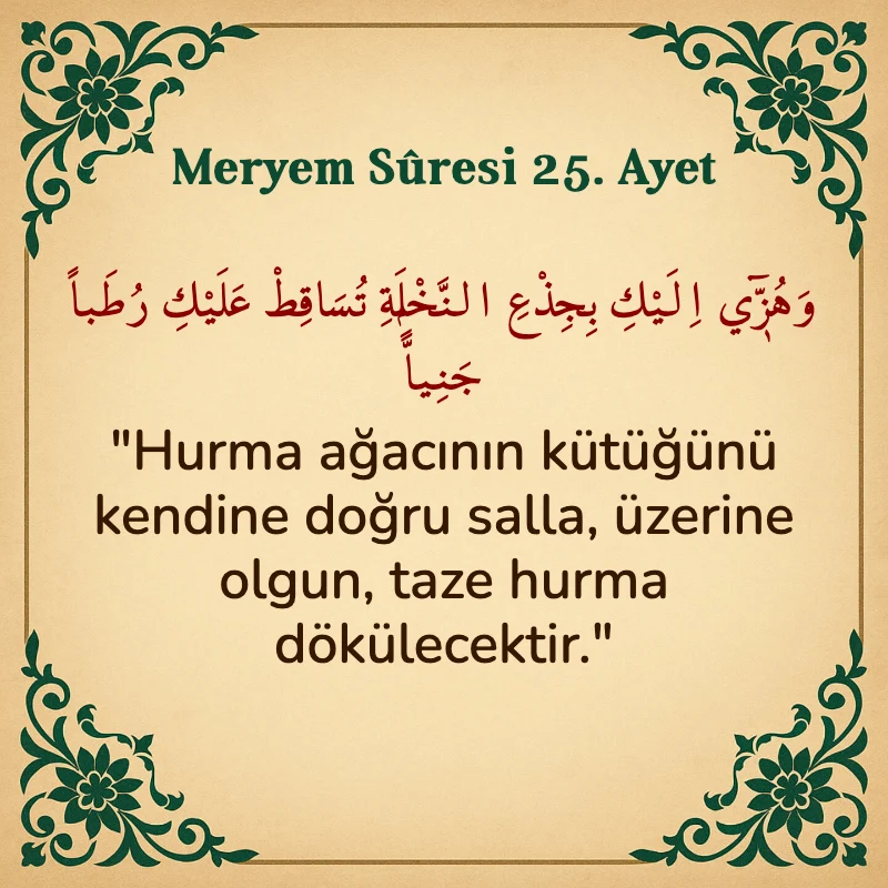 Meryem Suresi 25. Ayet Arapça ve Türkçe meali