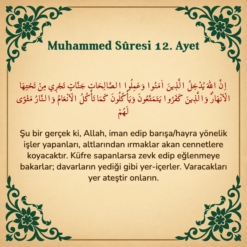 Muhammed Suresi 12. Ayet Arapça ve Türkçe meali