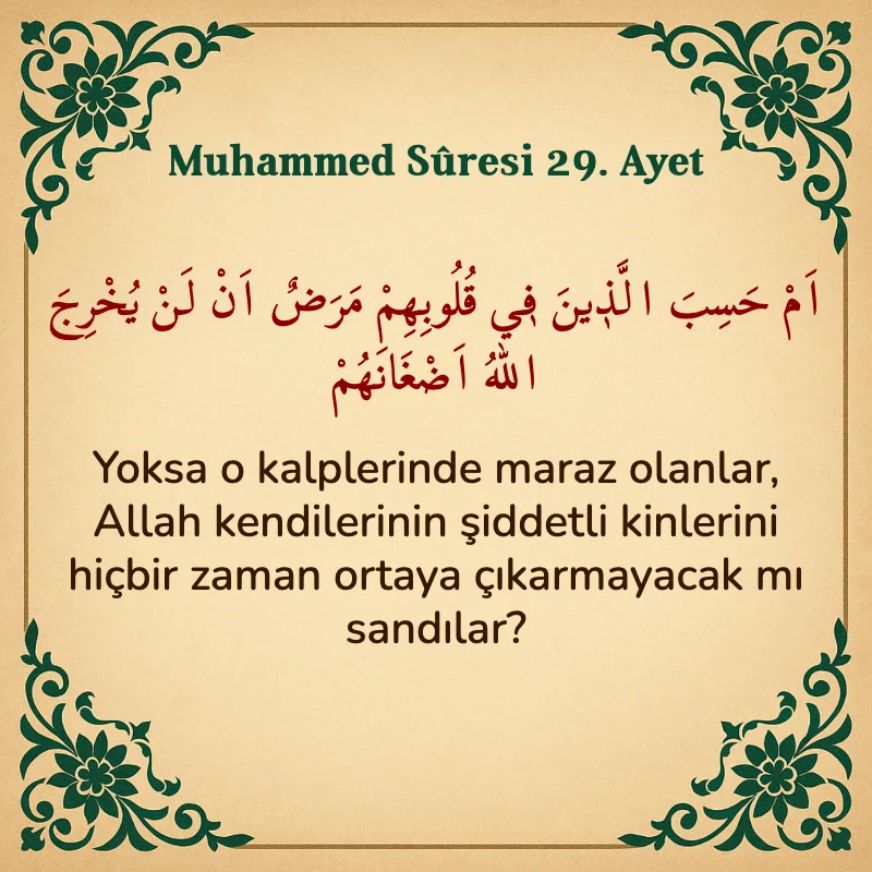 Muhammed Suresi 29. Ayet Arapça ve Türkçe meali