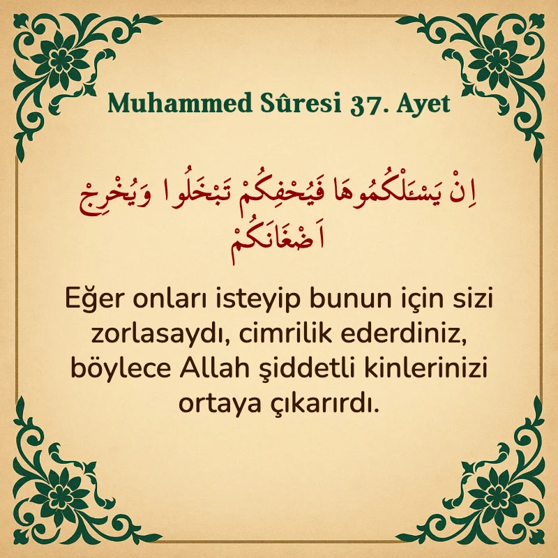 Muhammed Suresi 37. Ayet Arapça ve Türkçe meali
