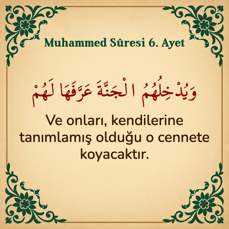 Muhammed Suresi 6. Ayet Arapça ve Türkçe meali