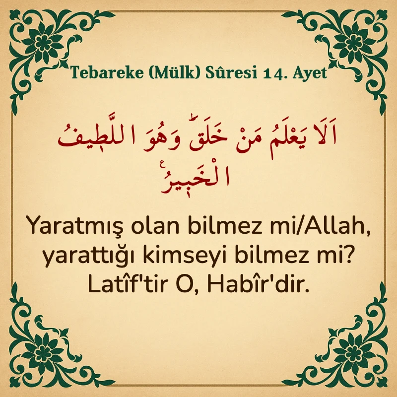 Tebareke (Mülk) Suresi 14. Ayet Arapça ve Türkçe meali