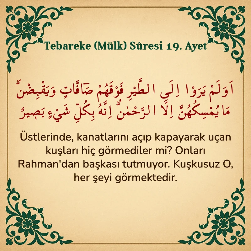 Tebareke (Mülk) Suresi 19. Ayet Arapça ve Türkçe meali