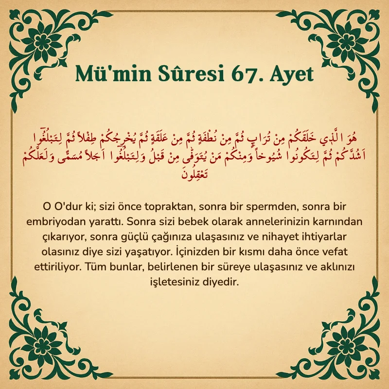 Mümin Suresi 67. Ayet Arapça ve Türkçe meali