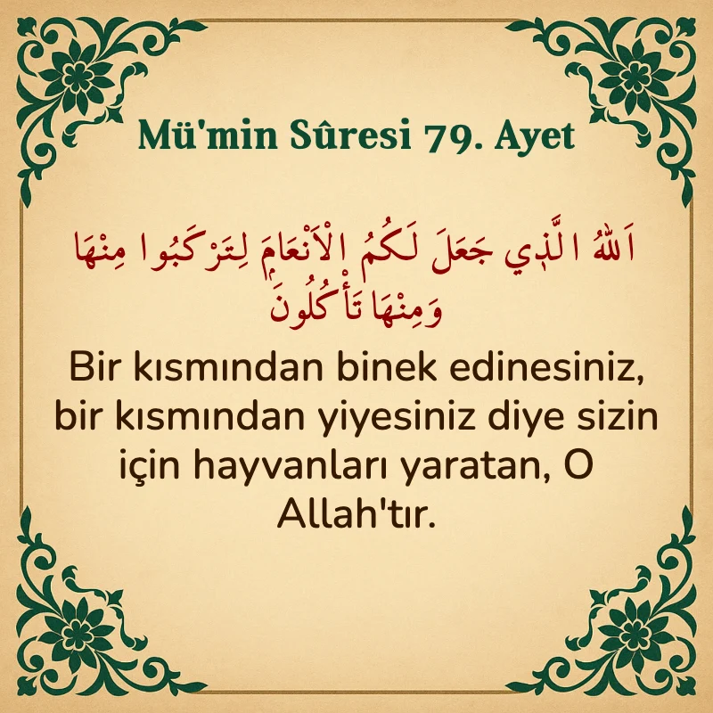 Mümin Suresi 79. Ayet Arapça ve Türkçe meali