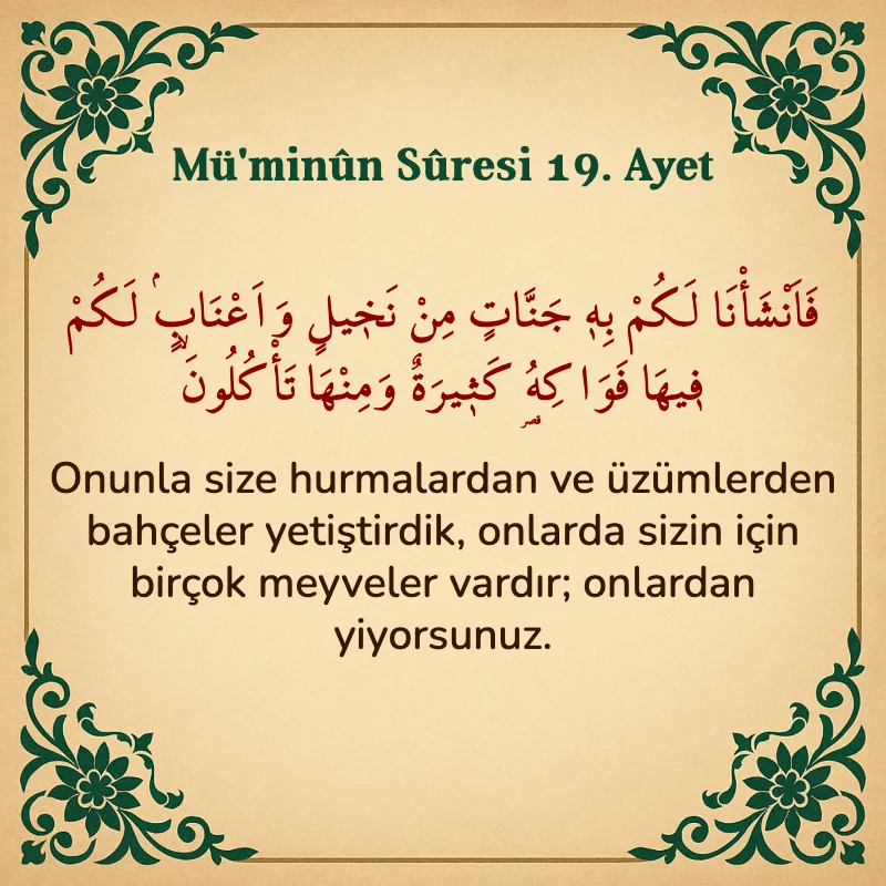 Müminun Suresi 19. Ayet Arapça ve Türkçe meali