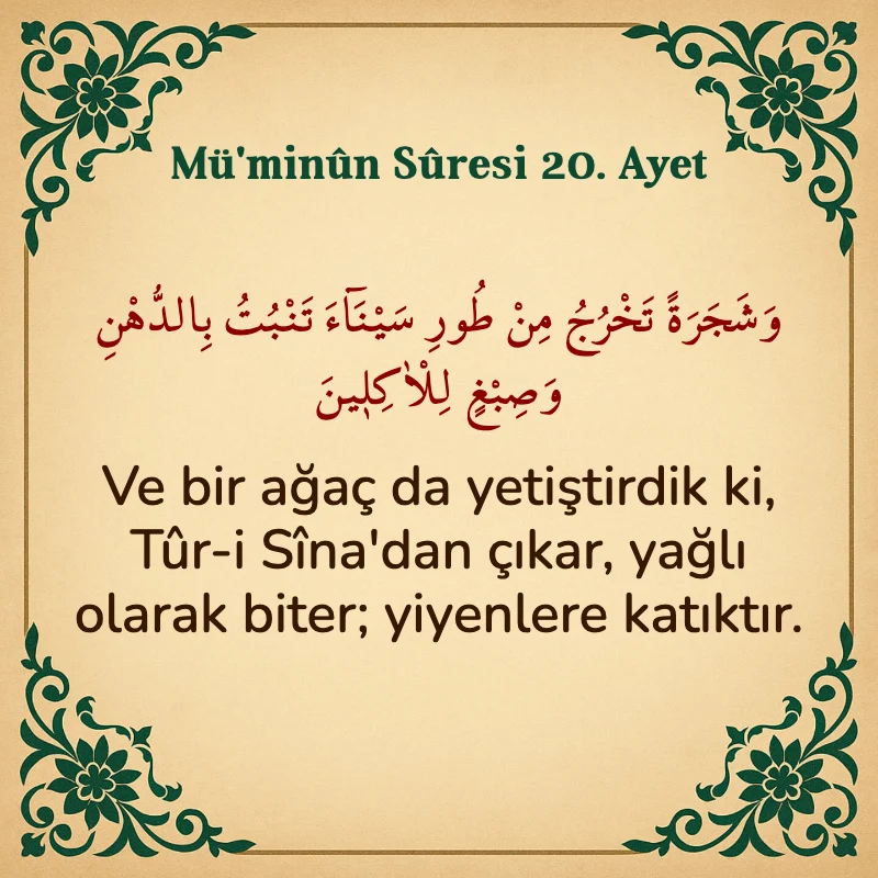 Müminun Suresi 20. Ayet Arapça ve Türkçe meali