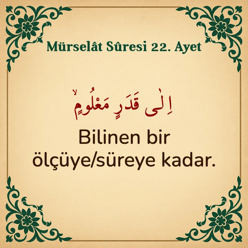Mürselat Suresi 22. Ayet Arapça ve Türkçe meali