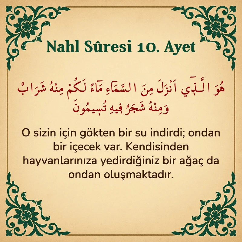 Nahl Suresi 10. Ayet Arapça ve Türkçe meali
