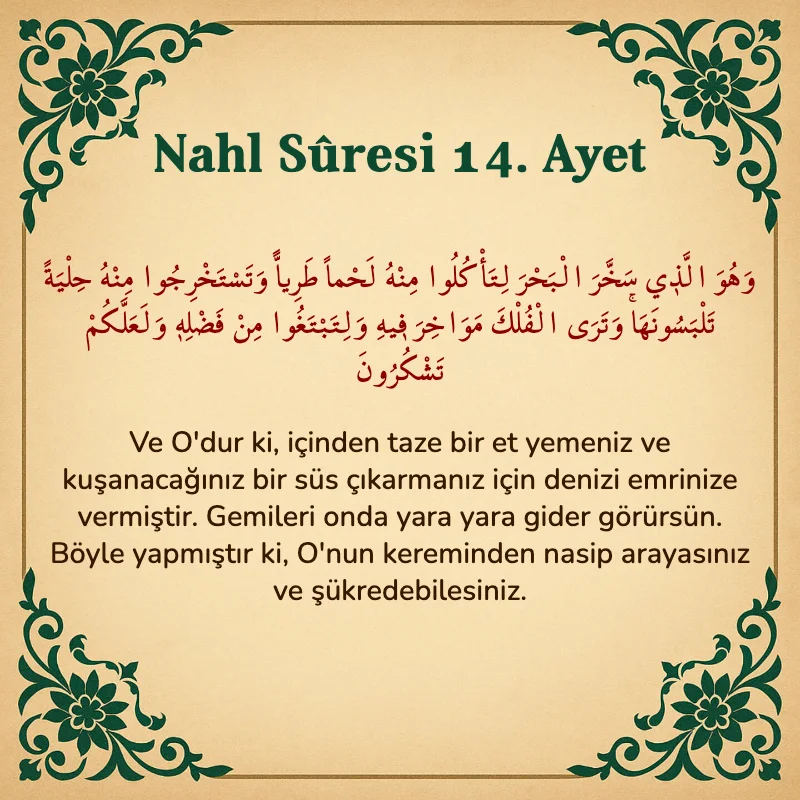 Nahl Suresi 14. Ayet Arapça ve Türkçe meali