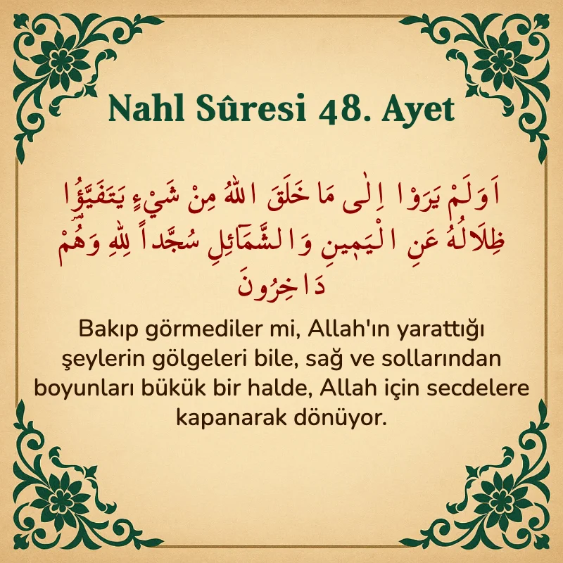 Nahl Suresi 48. Ayet Arapça ve Türkçe meali