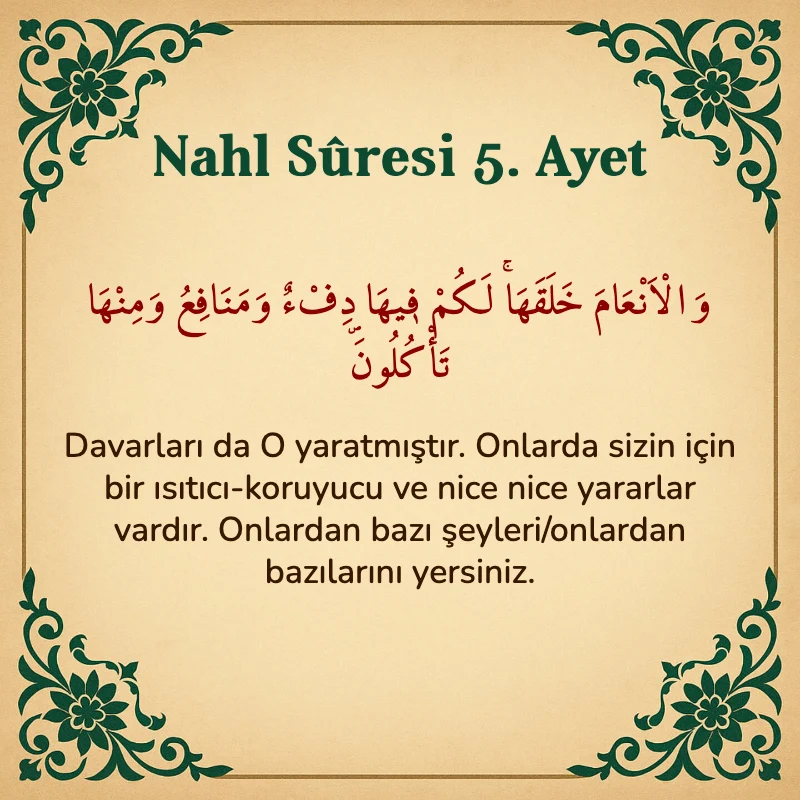 Nahl Suresi 5. Ayet Arapça ve Türkçe meali