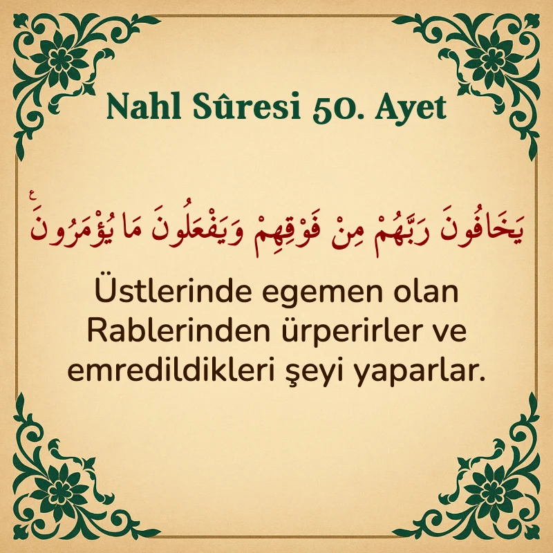 Nahl Suresi 50. Ayet Arapça ve Türkçe meali