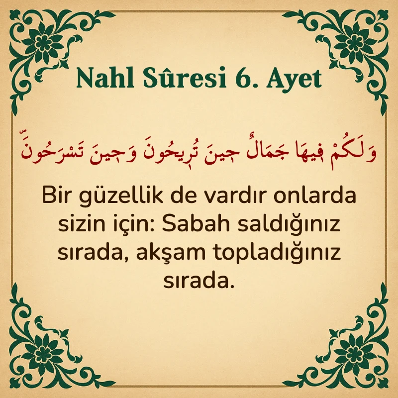 Nahl Suresi 6. Ayet Arapça ve Türkçe meali
