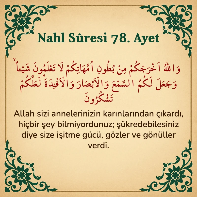 Nahl Suresi 78. Ayet Arapça ve Türkçe meali