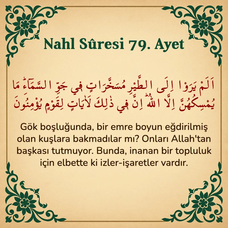 Nahl Suresi 79. Ayet Arapça ve Türkçe meali