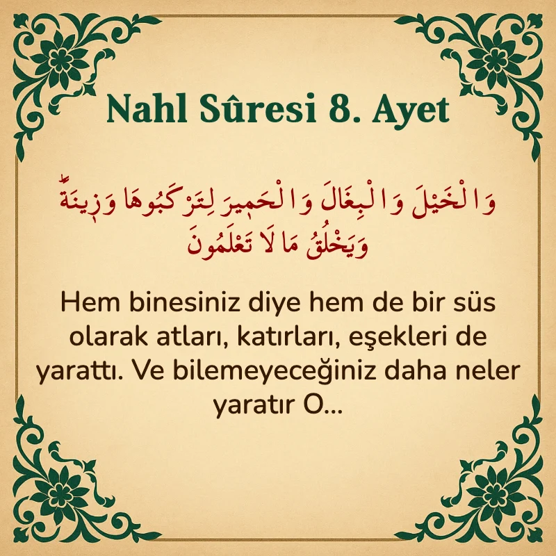 Nahl Suresi 8. Ayet Arapça ve Türkçe meali