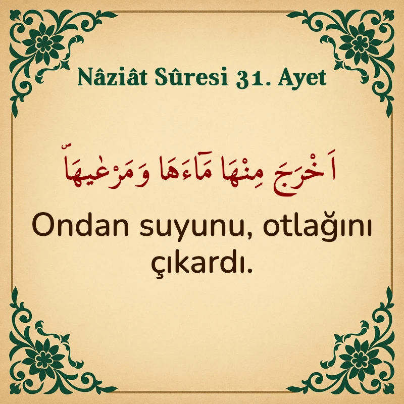 Naziat Suresi 31. Ayet Arapça ve Türkçe meali
