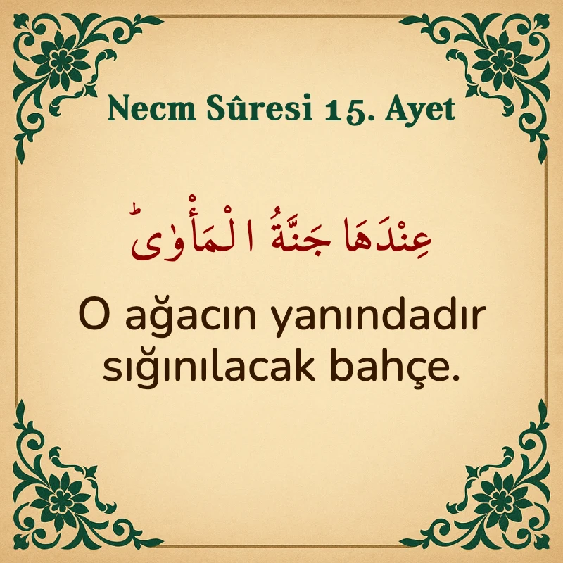 Necm Suresi 15. Ayet Arapça ve Türkçe meali