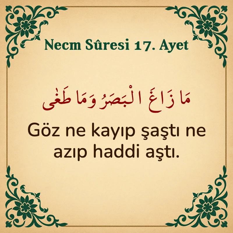 Necm Suresi 17. Ayet Arapça ve Türkçe meali