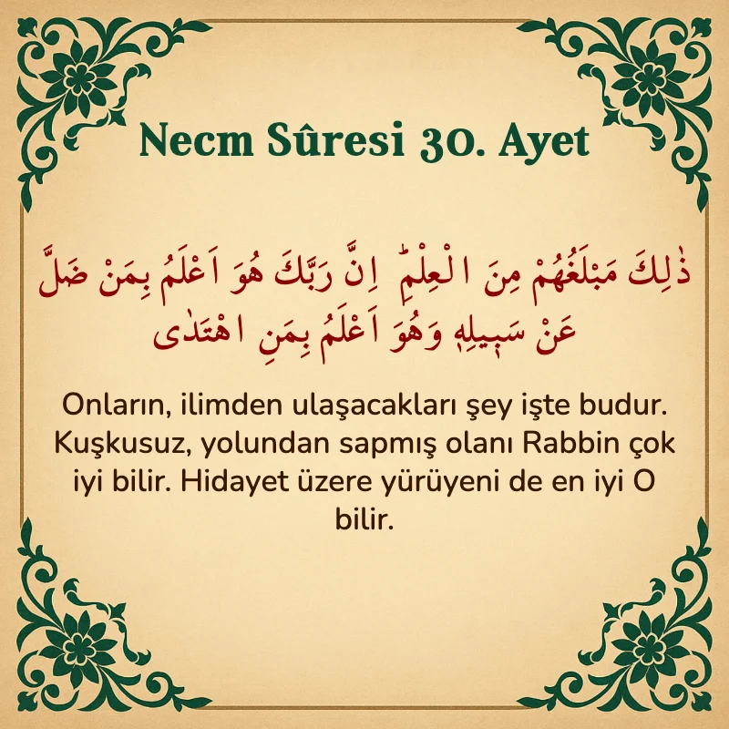 Necm Suresi 30. Ayet Arapça ve Türkçe meali