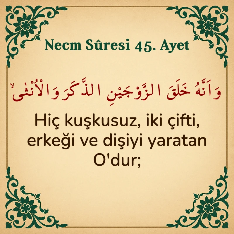 Necm Suresi 45. Ayet Arapça ve Türkçe meali