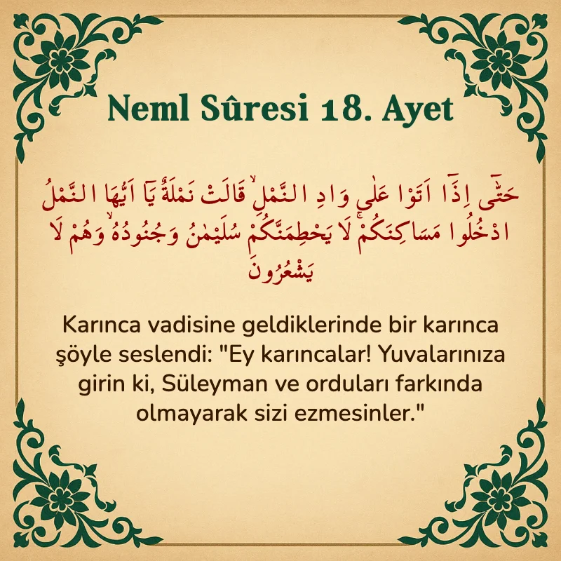 Neml Suresi 18. Ayet Arapça ve Türkçe meali