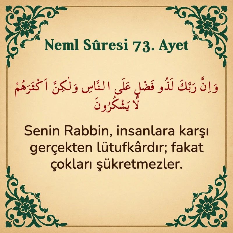 Neml Suresi 73. Ayet Arapça ve Türkçe meali