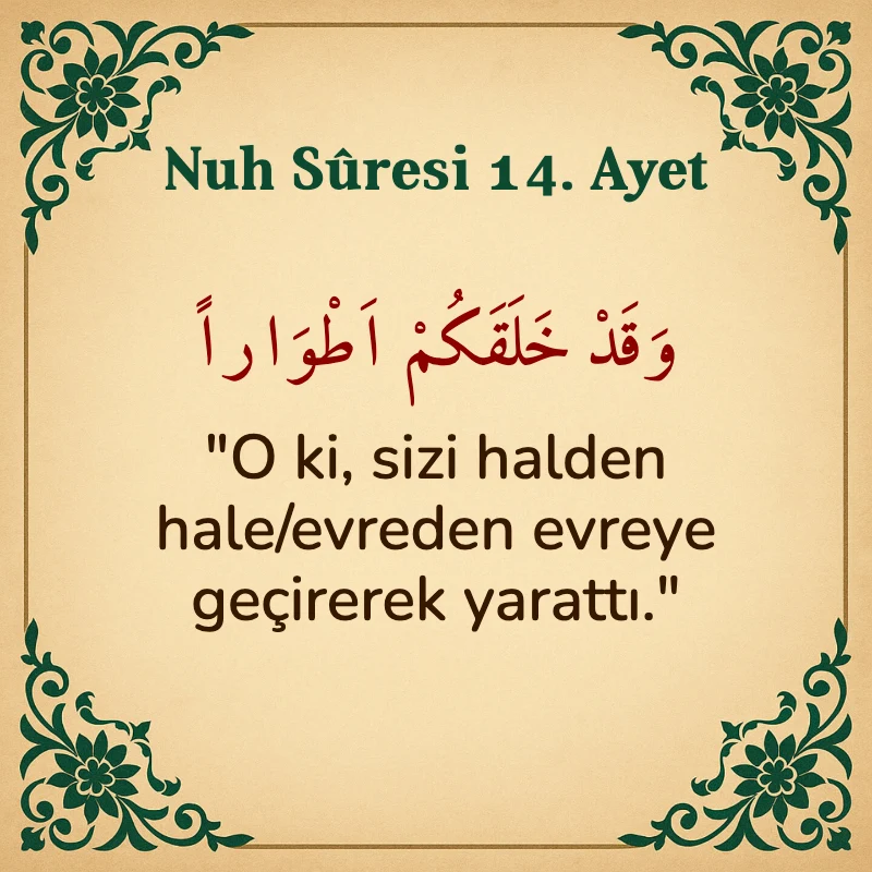 Nuh Suresi 14. Ayet Arapça ve Türkçe meali
