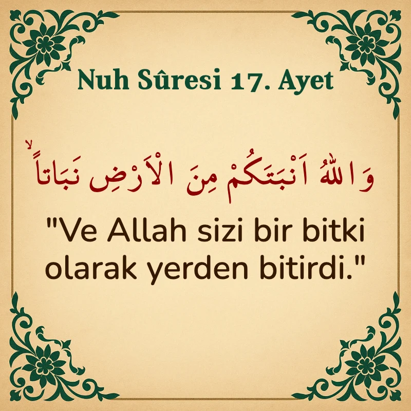 Nuh Suresi 17. Ayet Arapça ve Türkçe meali