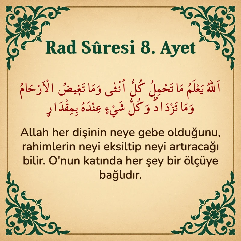 Rad Suresi 8. Ayet Arapça ve Türkçe meali