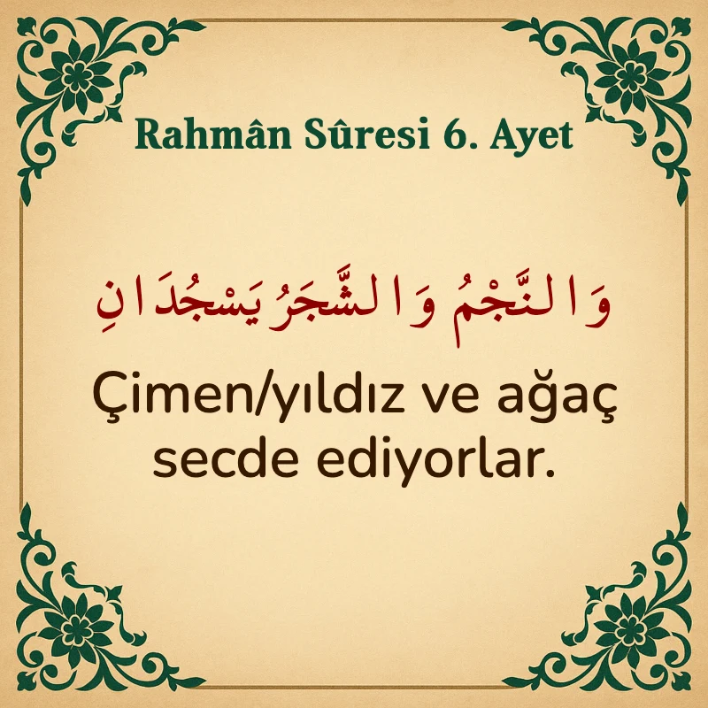 Rahman Suresi 6. Ayet Arapça ve Türkçe meali