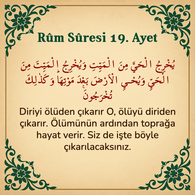 Rum Suresi 19. Ayet Arapça ve Türkçe meali