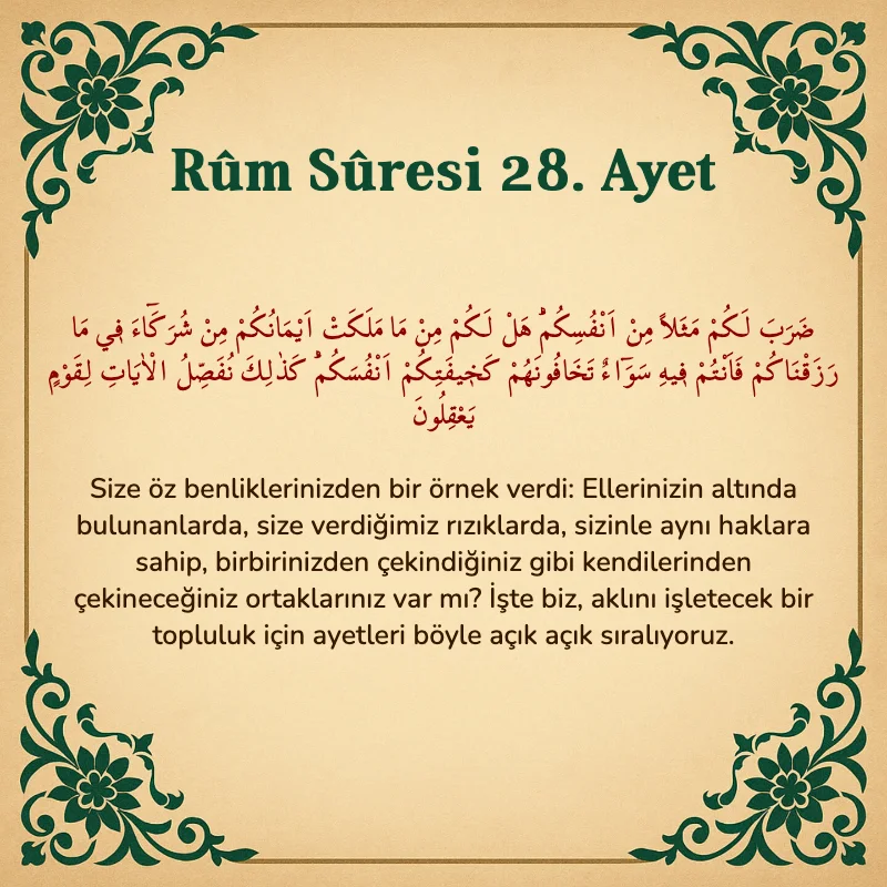 Rum Suresi 28. Ayet Arapça ve Türkçe meali