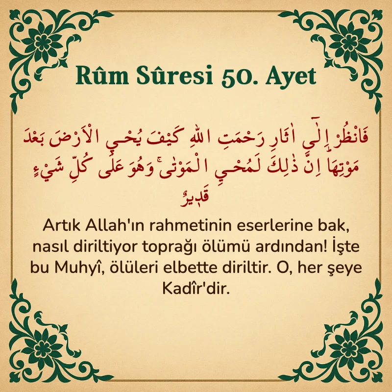Rum Suresi 50. Ayet Arapça ve Türkçe meali