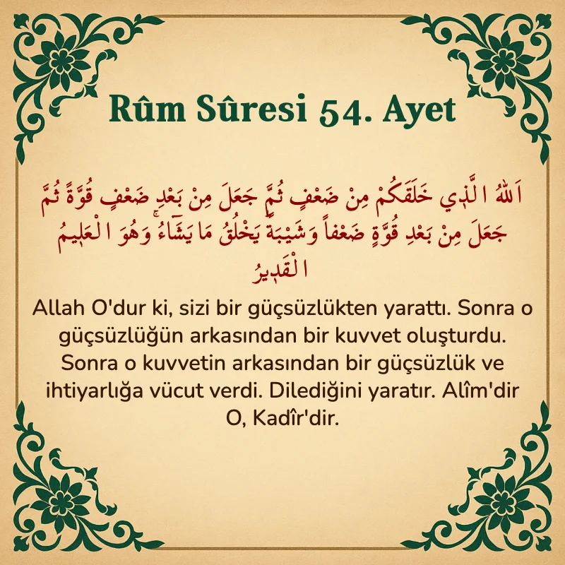 Rum Suresi 54. Ayet Arapça ve Türkçe meali