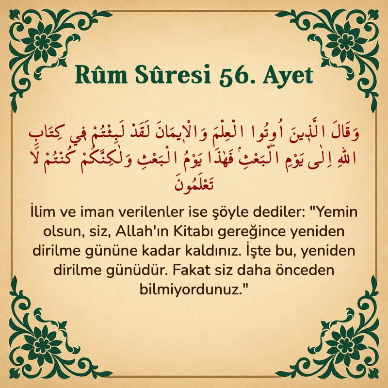 Rum Suresi 56. Ayet Arapça ve Türkçe meali