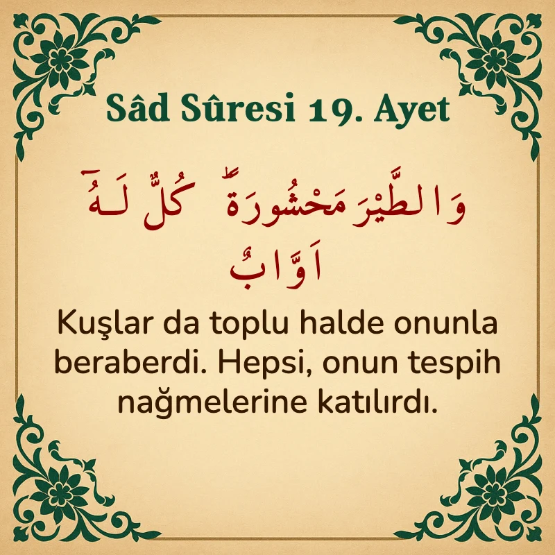 Sad Suresi 19. Ayet Arapça ve Türkçe meali