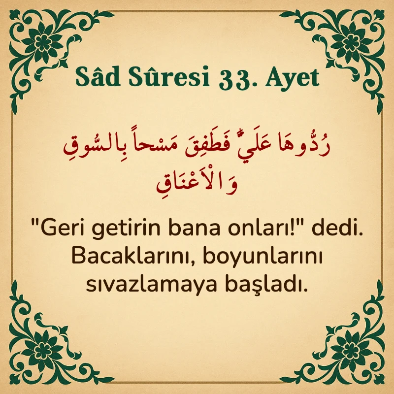 Sad Suresi 33. Ayet Arapça ve Türkçe meali