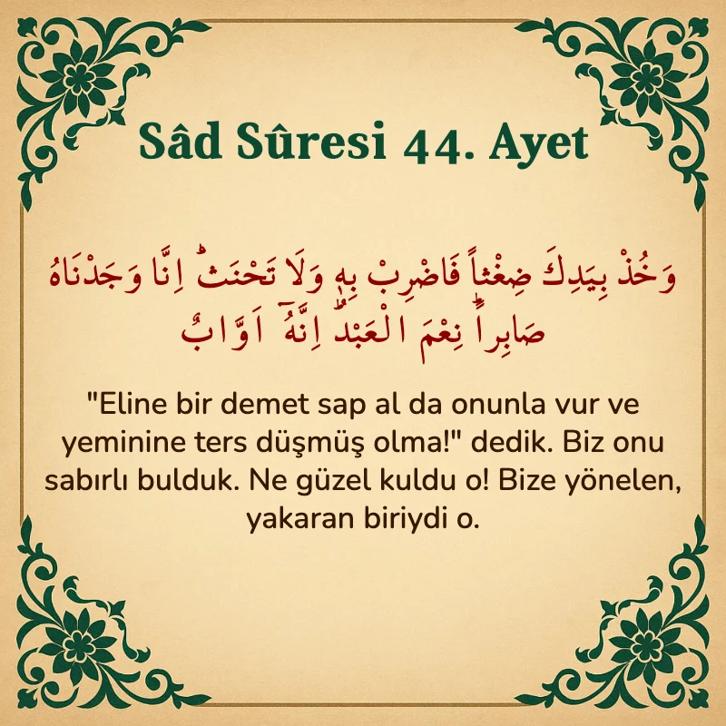 Sad Suresi 44. Ayet Arapça ve Türkçe meali