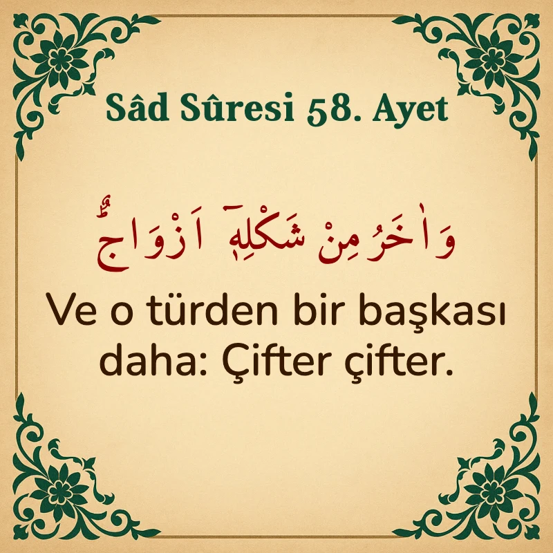 Sad Suresi 58. Ayet Arapça ve Türkçe meali