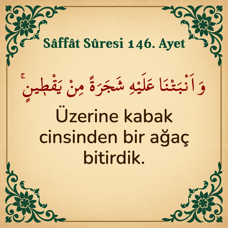 Saffat Suresi 146. Ayet Arapça ve Türkçe meali