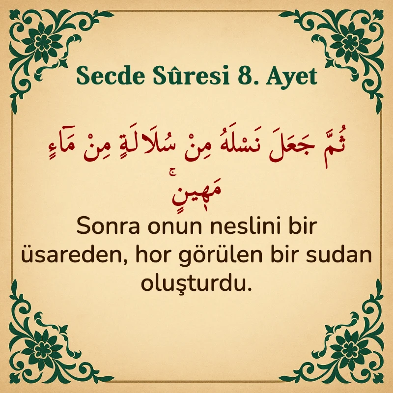 Secde Suresi 8. Ayet Arapça ve Türkçe meali
