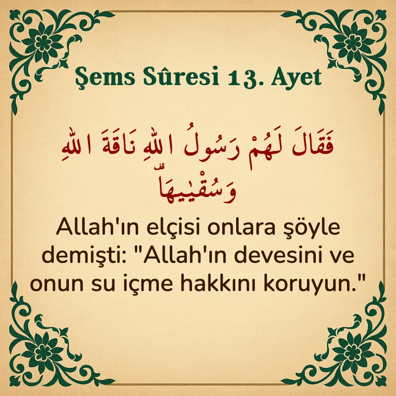 Şems Suresi 13. Ayet Arapça ve Türkçe meali