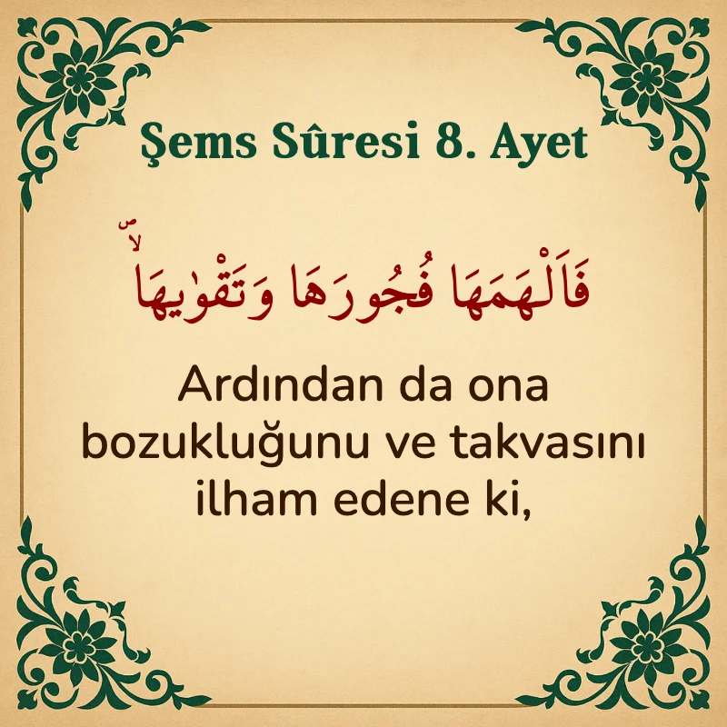 Şems Suresi 8. Ayet Arapça ve Türkçe meali