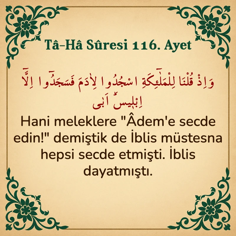 Taha Suresi 116. Ayet Arapça ve Türkçe meali